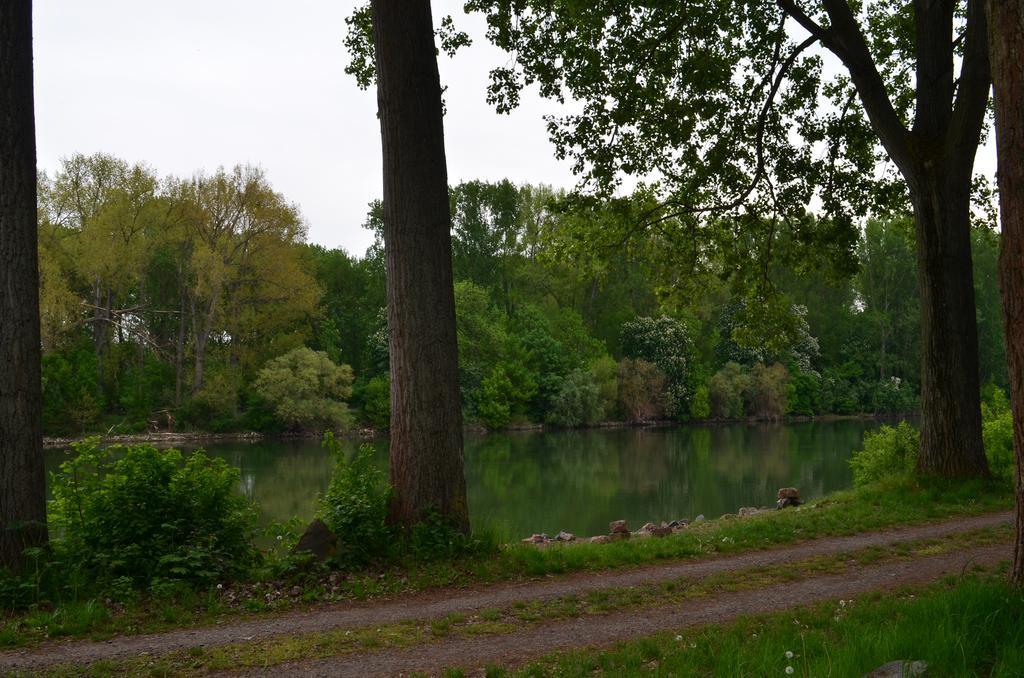 Zwei Raben Pension Maguncia Exterior foto