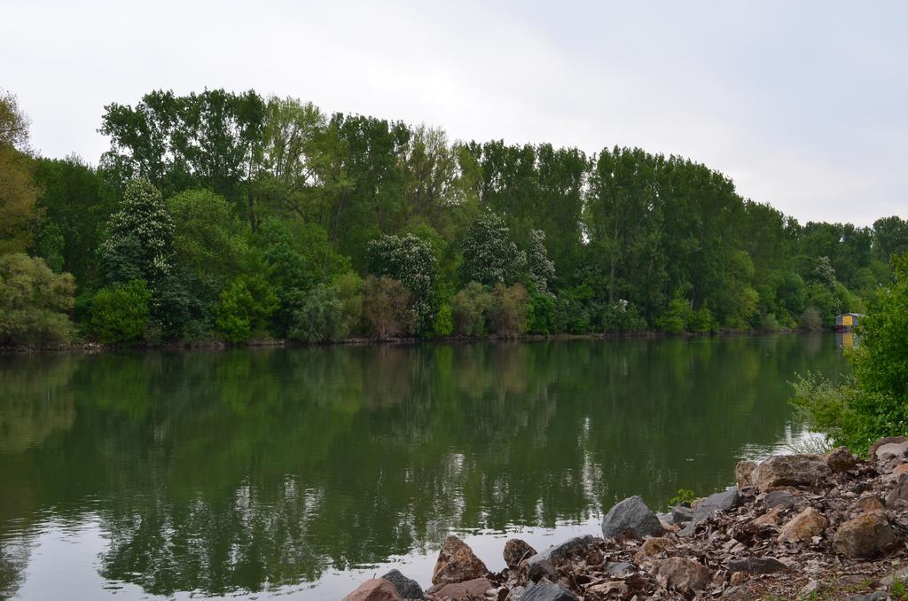 Zwei Raben Pension Maguncia Exterior foto