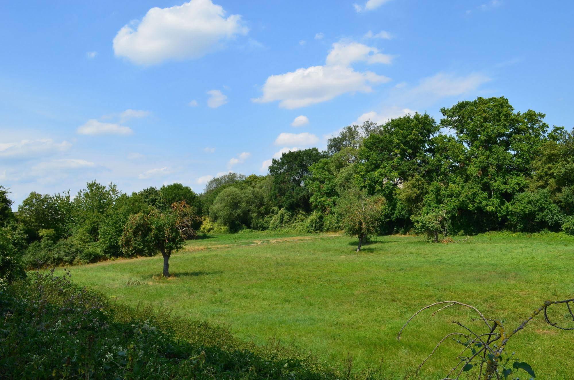Zwei Raben Pension Maguncia Exterior foto